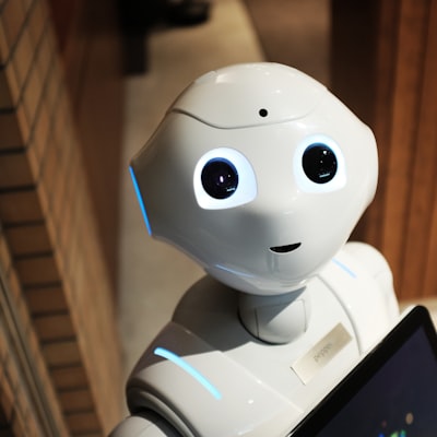 Robot humanoide